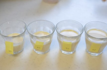 ゼラチンの分量でどう変わる ゼリーやムースのフルフル感を調査 ふうらぼ